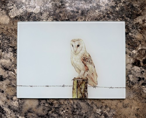 Barn owl worktop saver - barn,