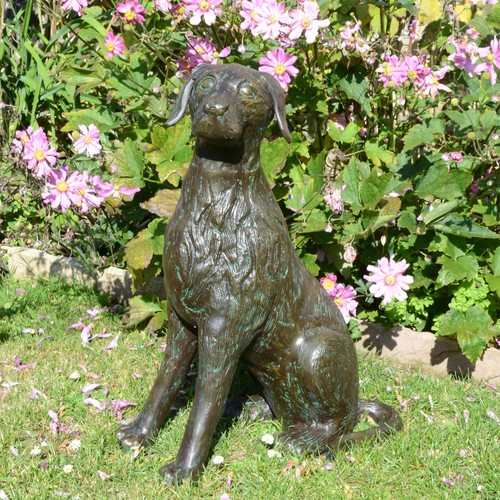 Beautiful sitting dog garden - beautiful,