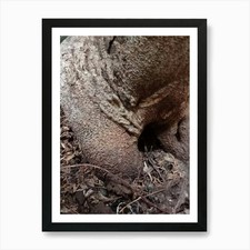 Tree Trunk Art Print Framed Wall Art Poster Canvas Print Picture