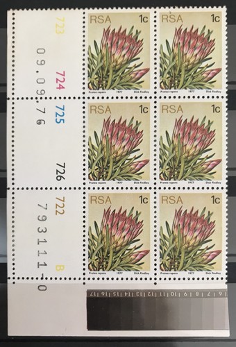 South africa 1977 - 1977, specialist