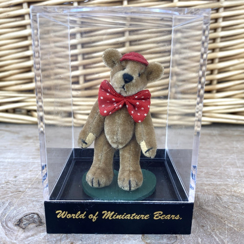 World miniature bears - world, of