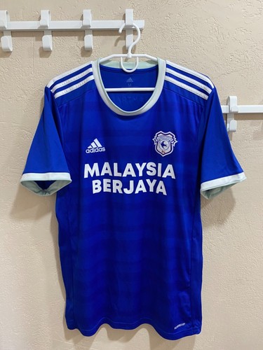 Cardiff city home football - cardiff,