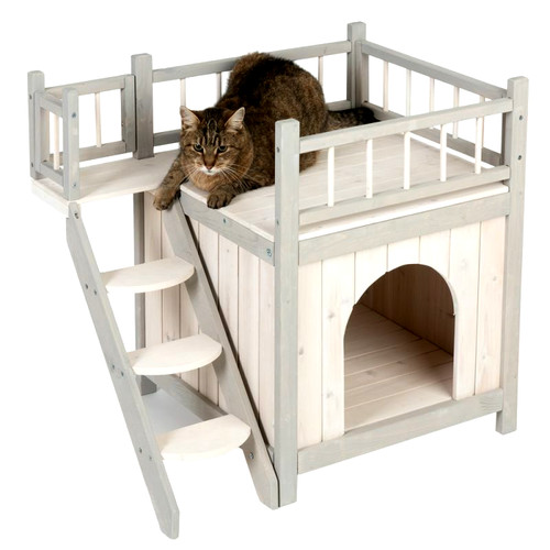 Prince cat dog small - prince,