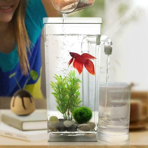 Desktops mini fish - fish, with