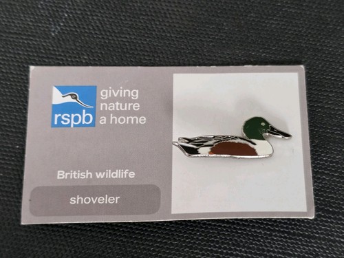 Rspb shoveler pin badge - badge, duke