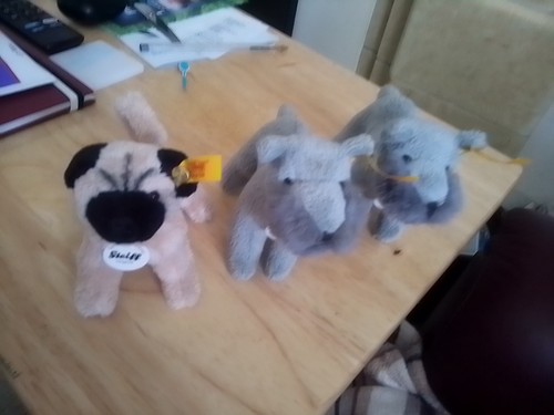 Three steiff key holder dogs - three,