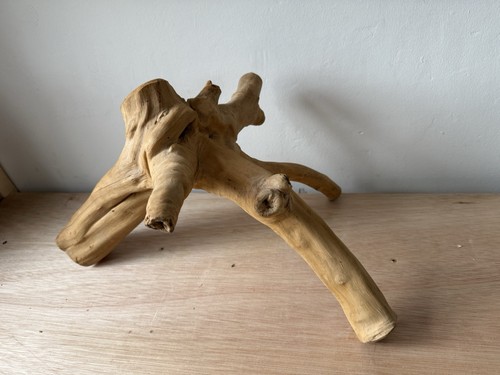Driftwood wood log - driftwood,