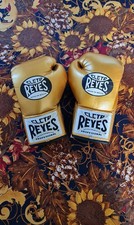 Cleto Reyes Traditional fight