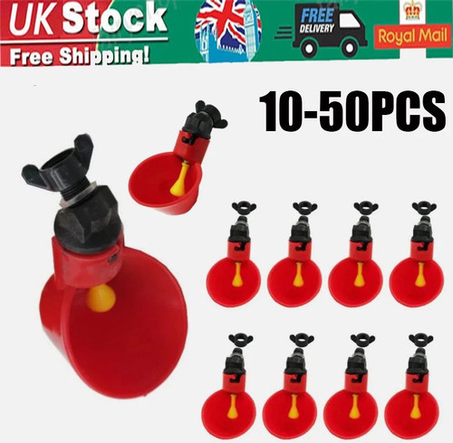 50pcs chicken bird hen - chicken,