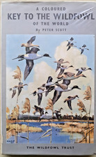 A Coloured Key to the Wildfowl
