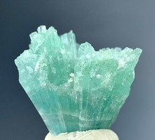 Tourmaline Crystal Bunch  From