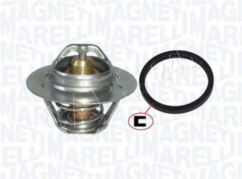 Magneti marelli coolant - magneti,