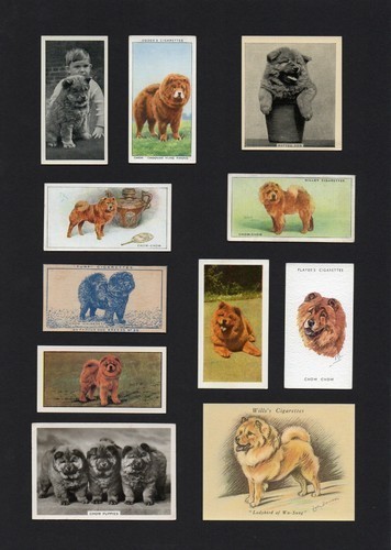 Chow mounted - chow,