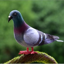 2 PCS Lifelike Foam Pigeon