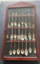 Display Case With Collection