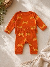 Baby Boys Tiger Outfit Set 0-3
