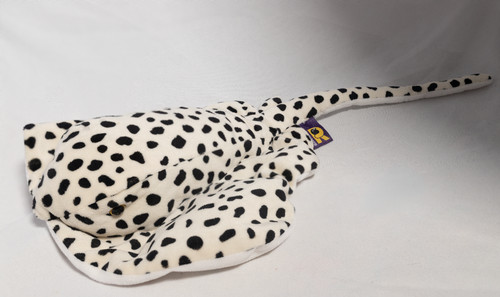 Ravensden spotted ray leopard - ravensden,