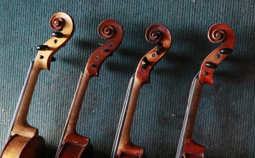 Full size violin for - size,
