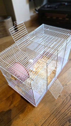 Hamster standard wire cage - hamster,