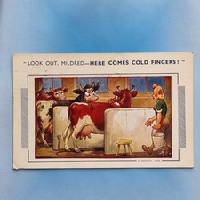 Comic Postcard 1960 Milking Time Cows Parlour Cold Hands Farm Hand Bamforth
