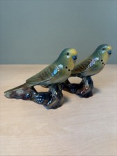 Pair Of Keele Street Pottery Budgerigars Budgies Ornaments In Stunning Colours