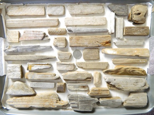 Driftwood pieces flat - flat, side