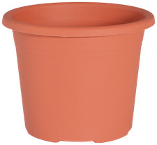 Outdoor flower pot plant - pot,