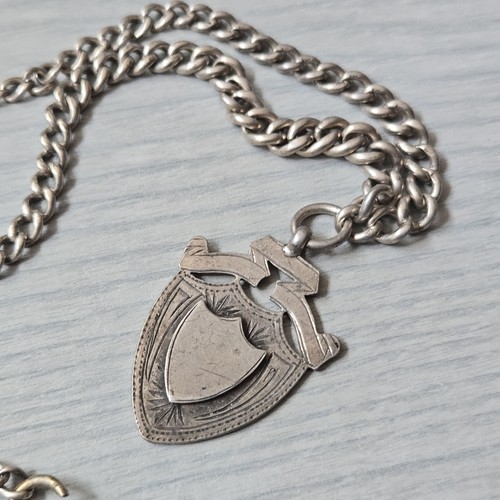 Victorian albert chain and - albert,
