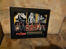Wwe Diva Raw Revolution Plaque