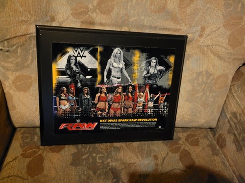 Wwe diva raw revolution plaque - wwe,