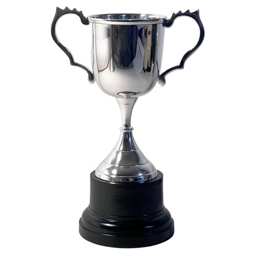 Elegant 22cm silver trophy cup - silver,