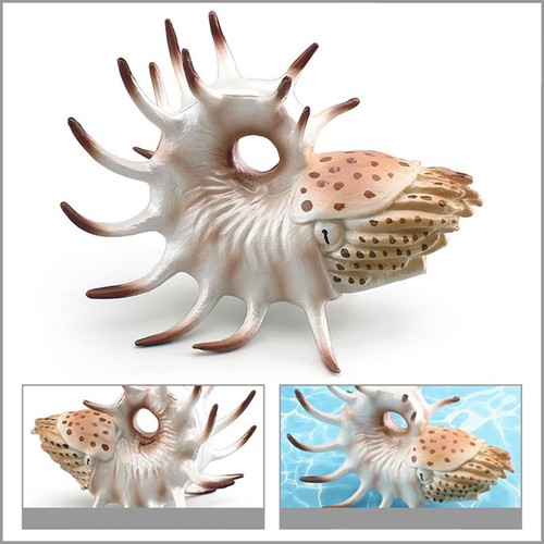 Sea animal model decoration - model,
