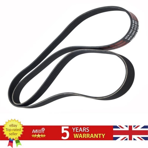 Ribbed belt for - v-ribbed,