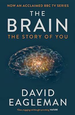 The brain - the, you