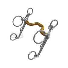 Neue Schule Warmblood Show