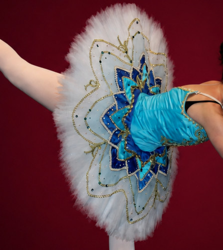 Professional platter ballet - professional,