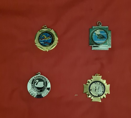 Four swimming medals - four, from