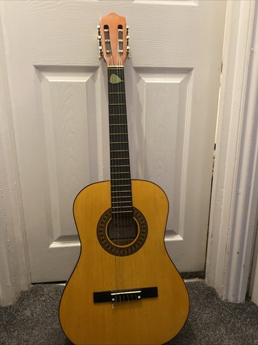 Herald hl34 acoustic - herald,