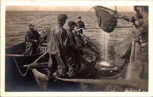Commercial fishermen work - commercial,