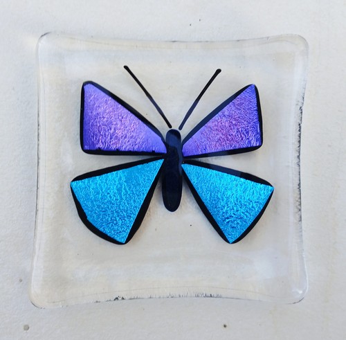 Butterfly fused glass - , trinket