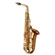 Yanagisawa awo2 alto sax - awo2,