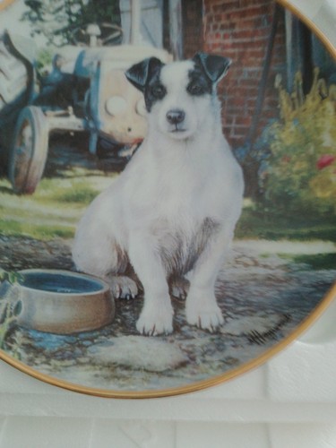 Danbury mint collectors plate - collectors,