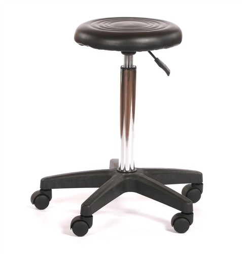 Dog pet grooming - , shop