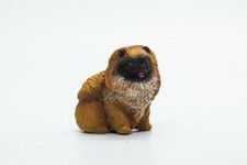 Pomeranian puppy miniature - pomeranian,