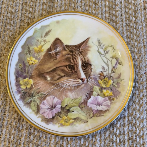 Royal vale bone china - bone, cat
