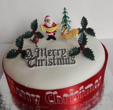 TRADITIONAL CHRISTMAS CAKE DECORATIONS - SILVER MOTTO