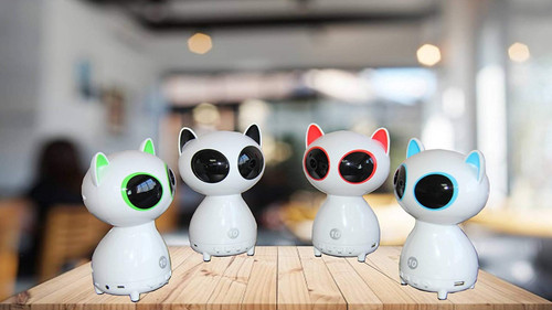 Mini cat shaped - mini,