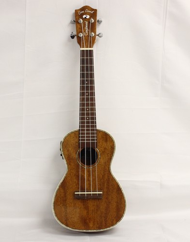 Tanglewood electro acoustic - tanglewood,