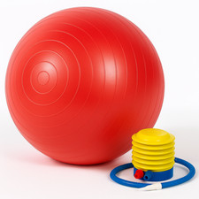 Exercise Ball with Pump