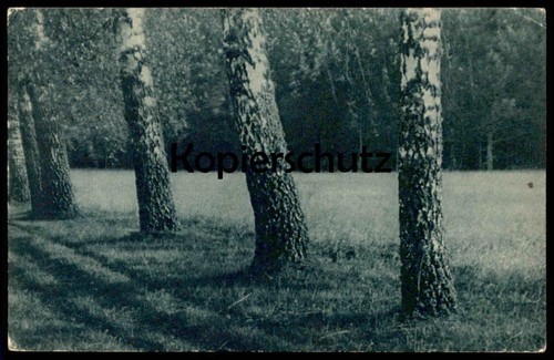 Old postcard lithuanian - postcard,